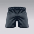 Szare spodenki treningowe męskie Eyemax Grey Eyemax grey tył.png